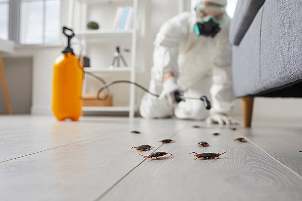 Commercial Kitchen Cockroach Control in Fort Wayne